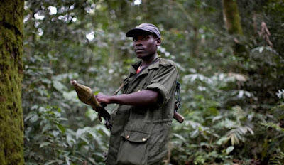 Réunion diplomatique liée au désarmement des FDLR dans la région des Grands Lacs